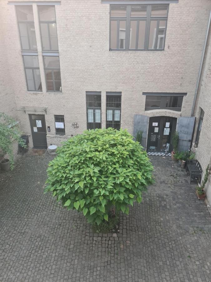 Loftapartment Im Historischen Fabrikambiente Geisenheim Esterno foto